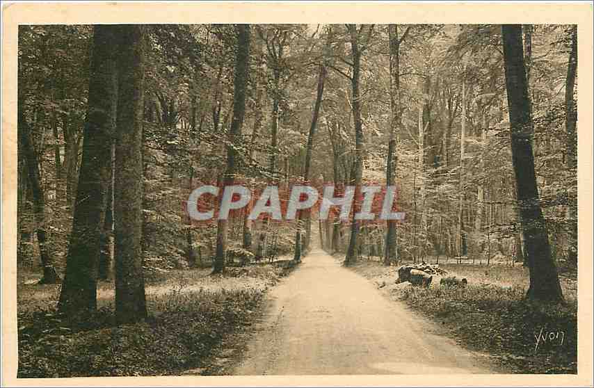 La Forêt - La Route - Fontainebleau (S.-et-M.) — Éditions d'Art Yvon, n°8