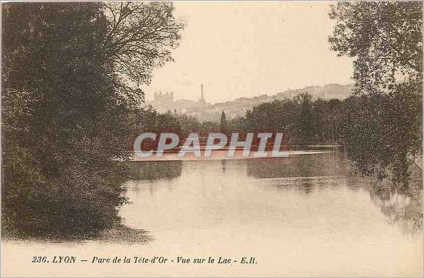 CPA Lyon Parc de la Tete d'Or Vue sur le Lac 