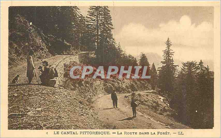 Le Cantal pittoresque — La Route dans la Forêt — LL