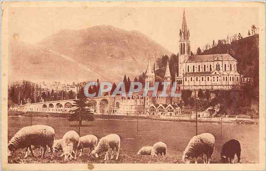 CPA Lourdes La Basilique et le Pic du Jer Moutons