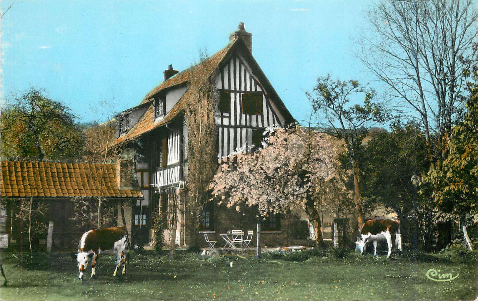 CPM Ma Normandie Paysage de printemps Vaches