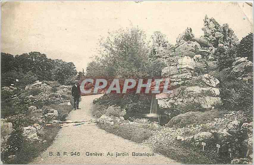 CPA Geneve Au jardin Botanique 