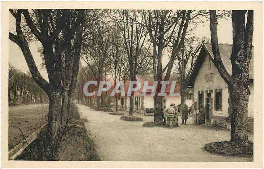 CPA Camp de Mourmelon Baraquements Militaires Quartier Loano Militaria
