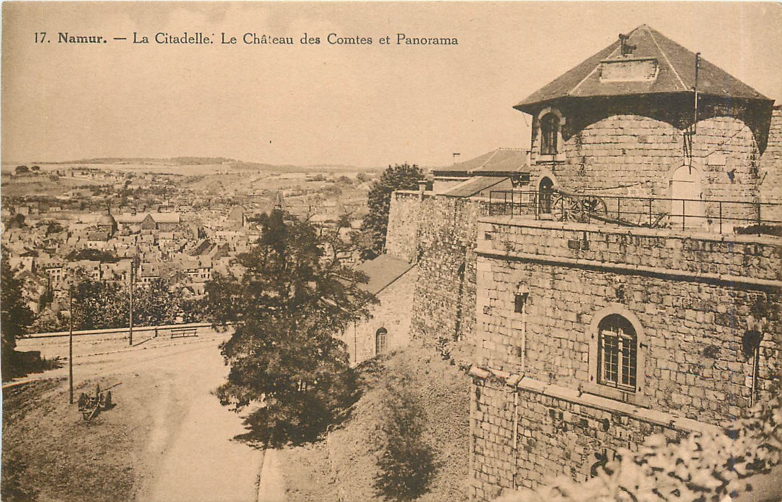 CPA Namur La Citadelle Le Chateau des Comtes et Panorama 