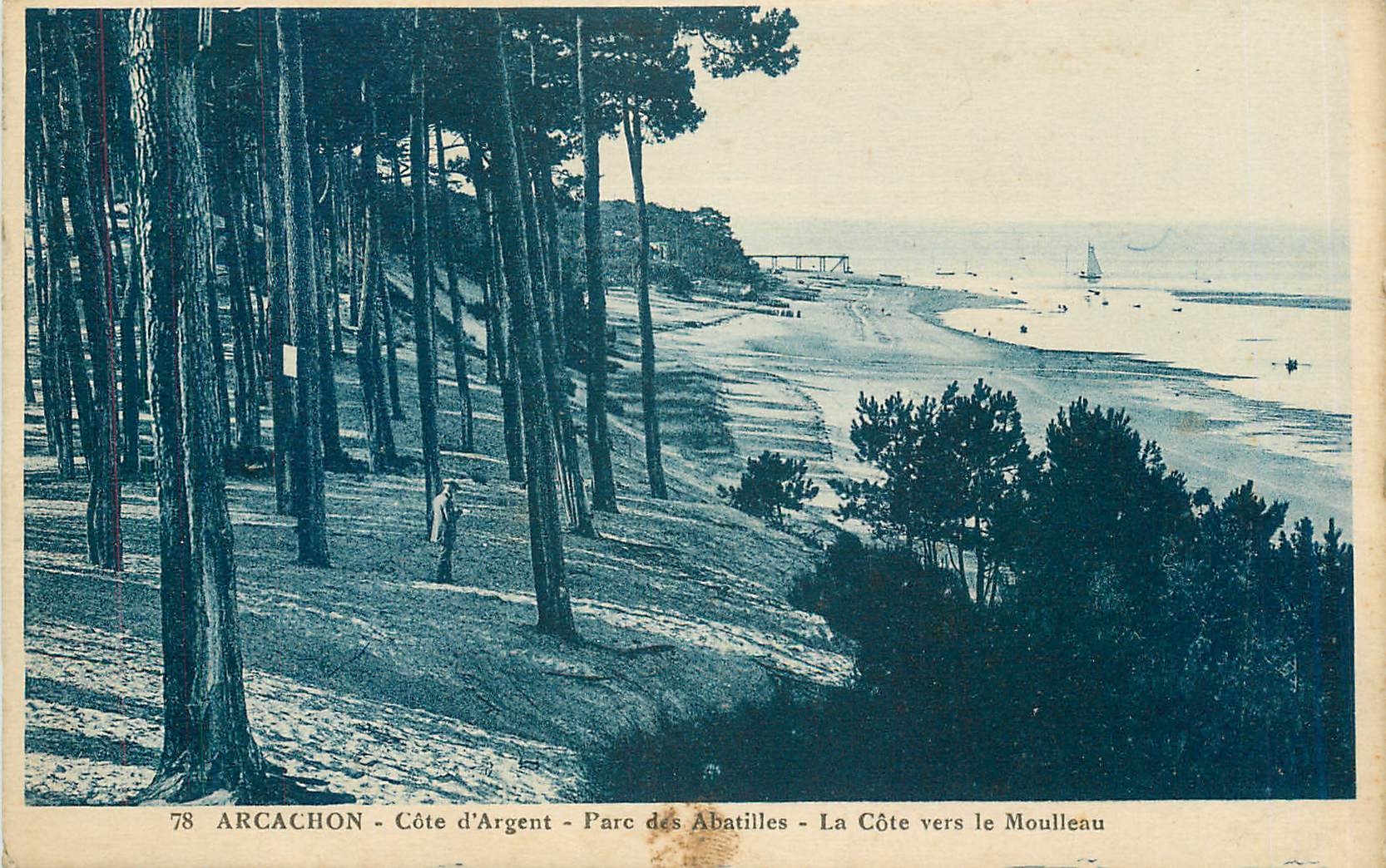 CPA Arcachon Cote d'Argent Parc des Abatilles La Cote vers le Moulleu 