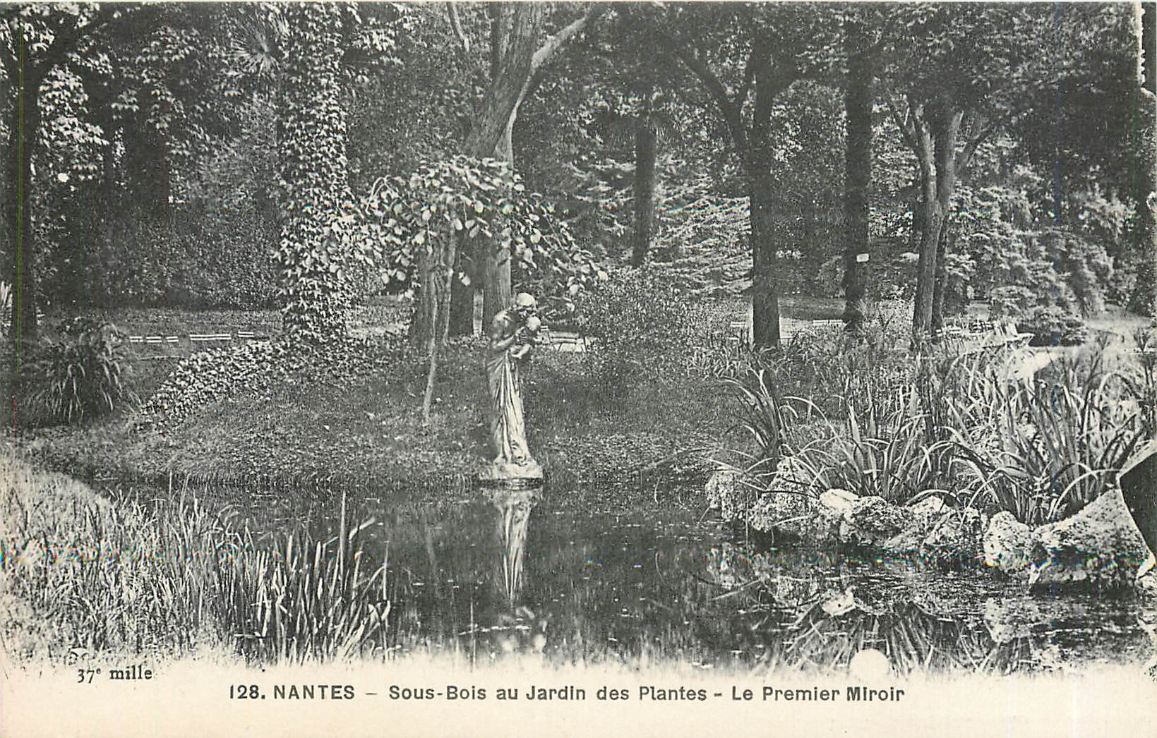 CPA Nantes Sous Bois au Jardin des Plantes Le Premier Miroir 
