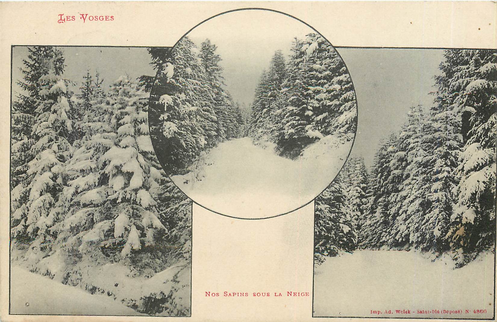 CPA Les Vosges Nos Sapins Sous la Neige 