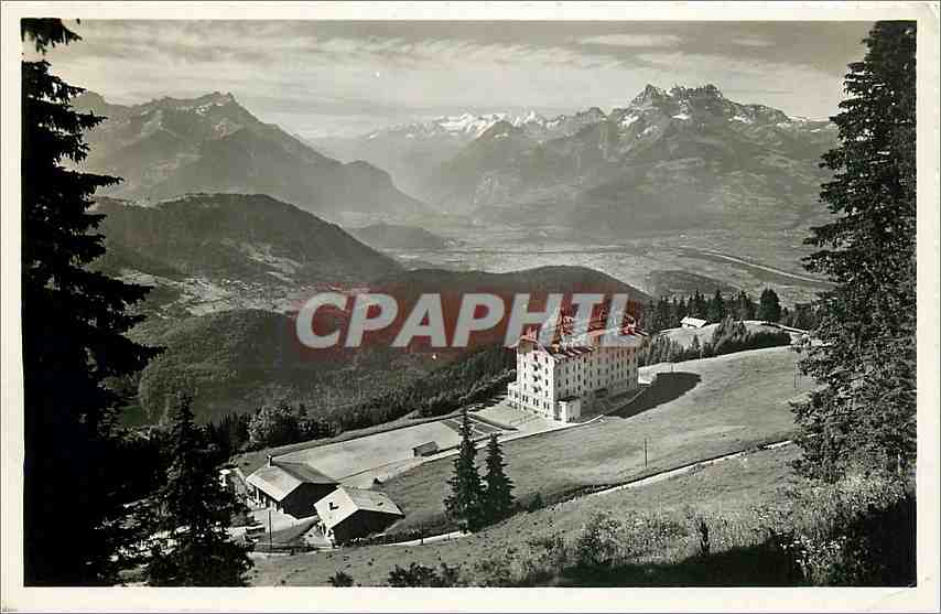 Les Chamois — La Plaine du Rhône, Les Dents du Midi, Les Dents de Morcles — Photo Trümpler, Leysin-Feydev