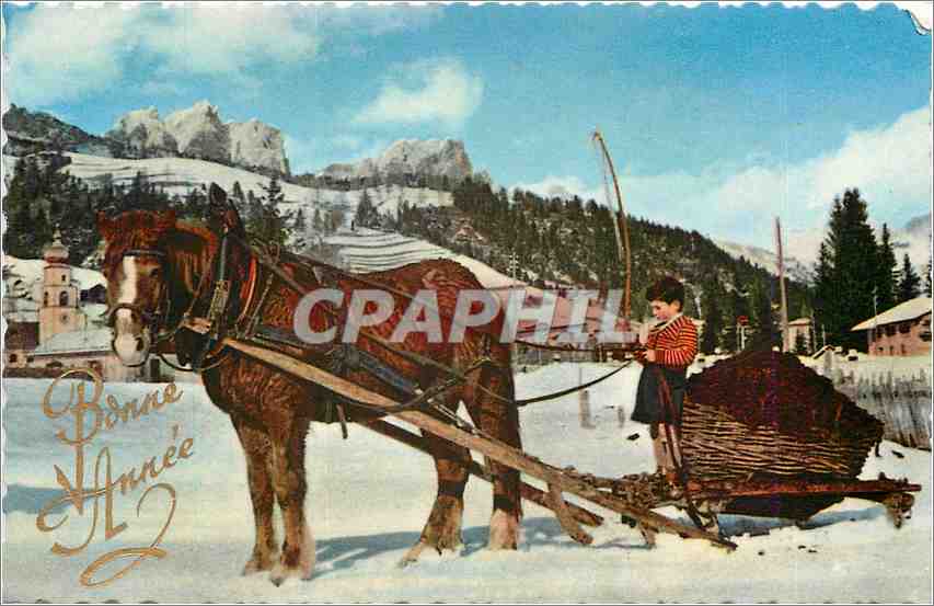 CPA VŒUX Cheval Enfant