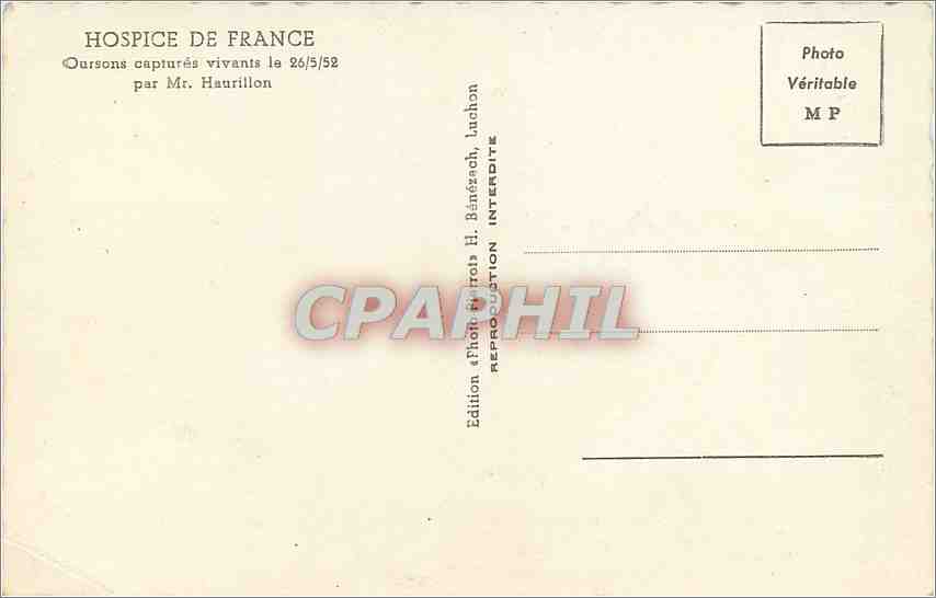 CPA HOSPICE DE FRANCE-Oursons captures vivanta le 26/5/52 pr Mr haurilion — Rückseite