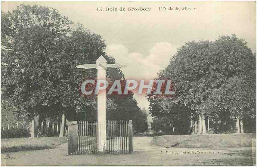 CPA Bois de Gross bois-L'Etoile de bellevue