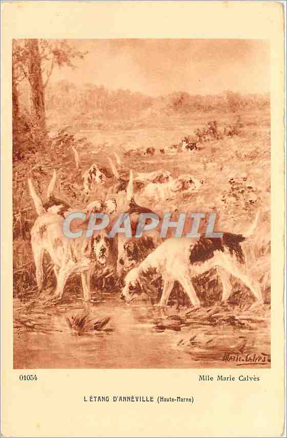 CPA L'ETANG D'ANNEVILLE(Haute-marne) Chiens Marie Calves