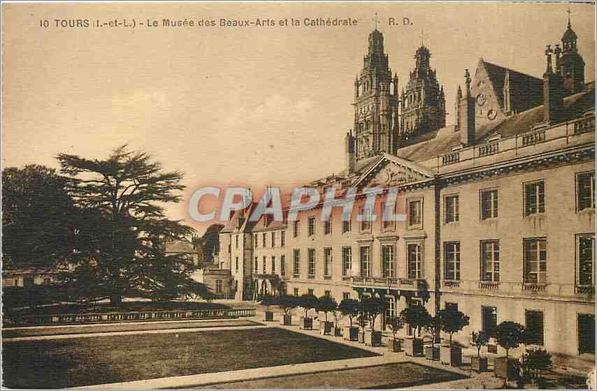 CPA Tours I et L le musee des beaux Arts et la cathedrale