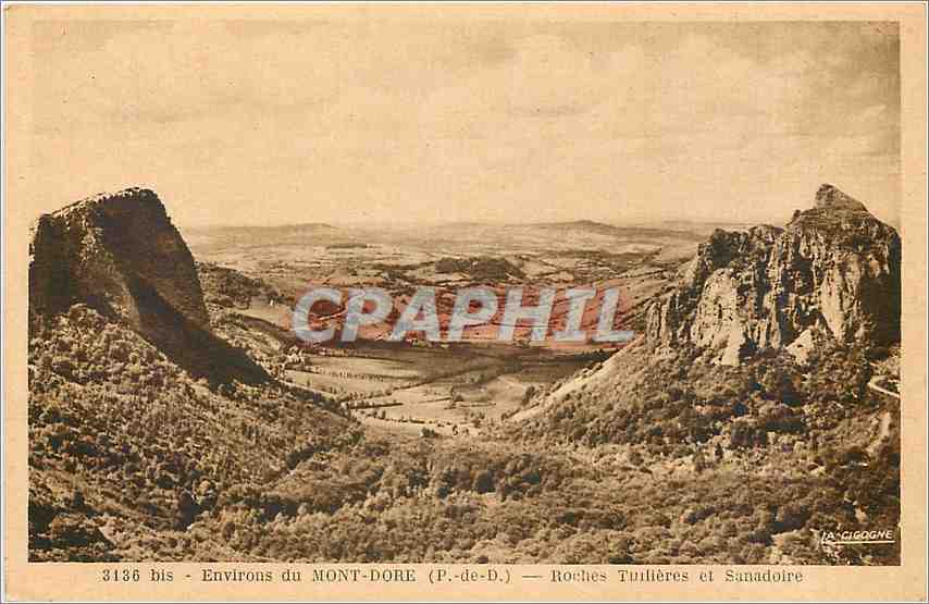 CPA Environs du Mont dore P de D roches tuilleres et sanadoire