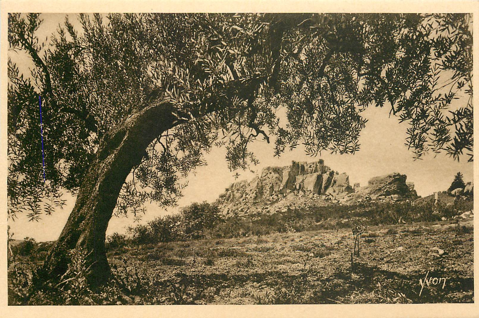 Les Baux (Bouches-du-Rhône) — Ansicht der Schlossruinen durch die Olivenbäume — Verlag: Les Éditions d'Art D'ON, Paris