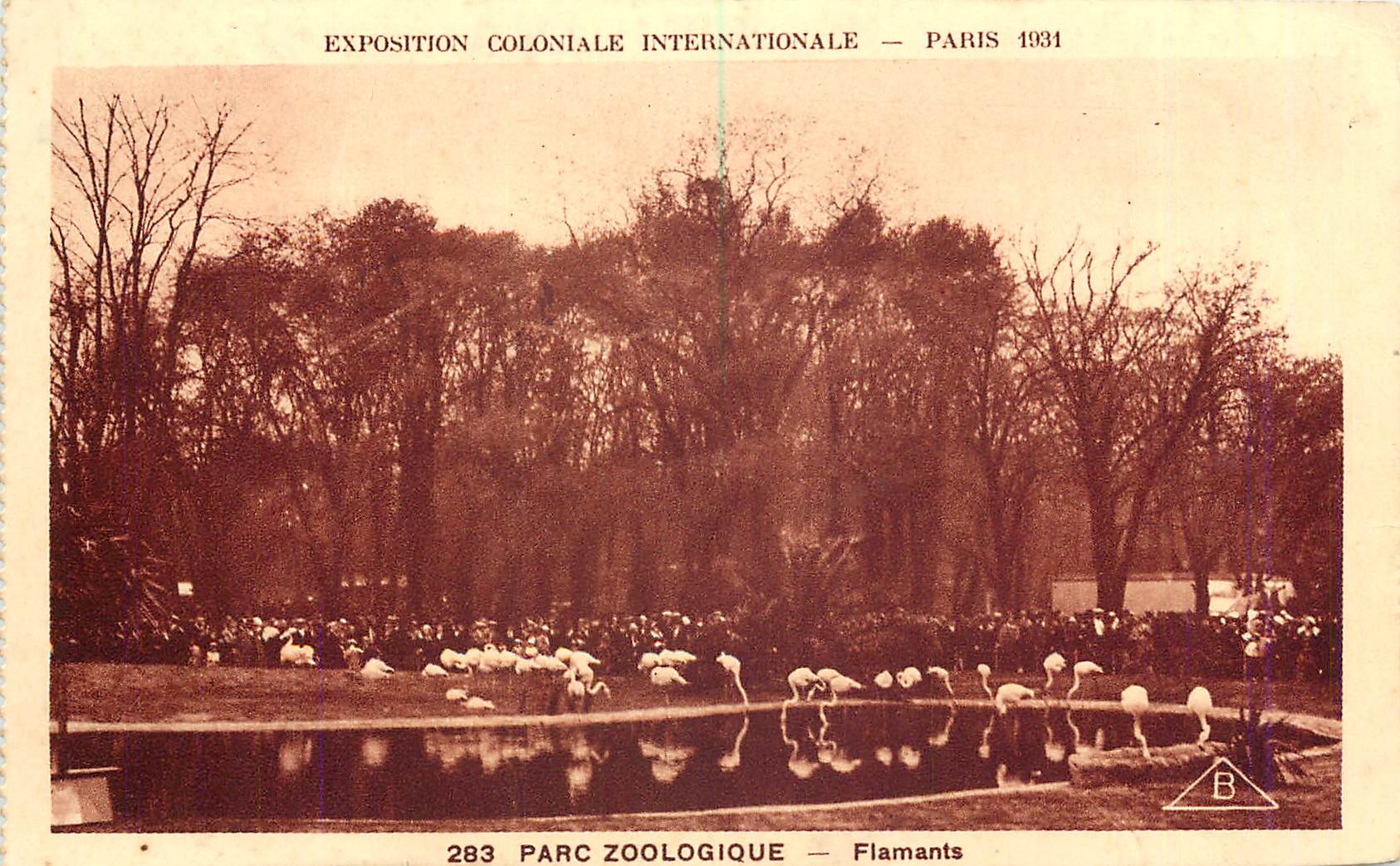 CPA Paris parc zoologique Flamants Exposition coloniale internationale 1931