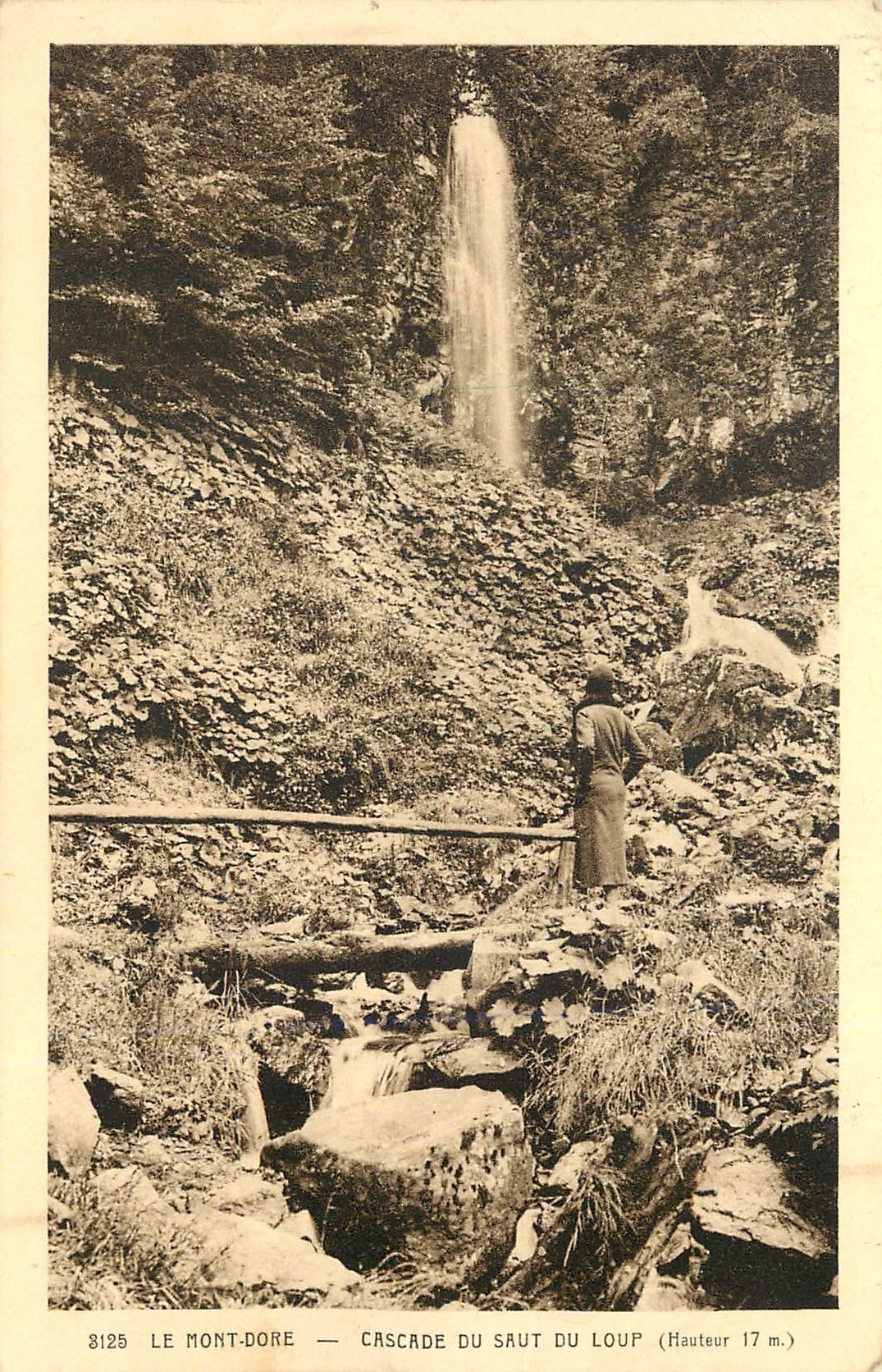CPA Le Mont Dore Cascade du Sut du loup 