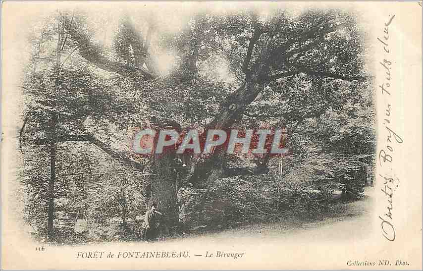 Wald von Fontainebleau — Le Béranger — Collections ND. Phot. n°116