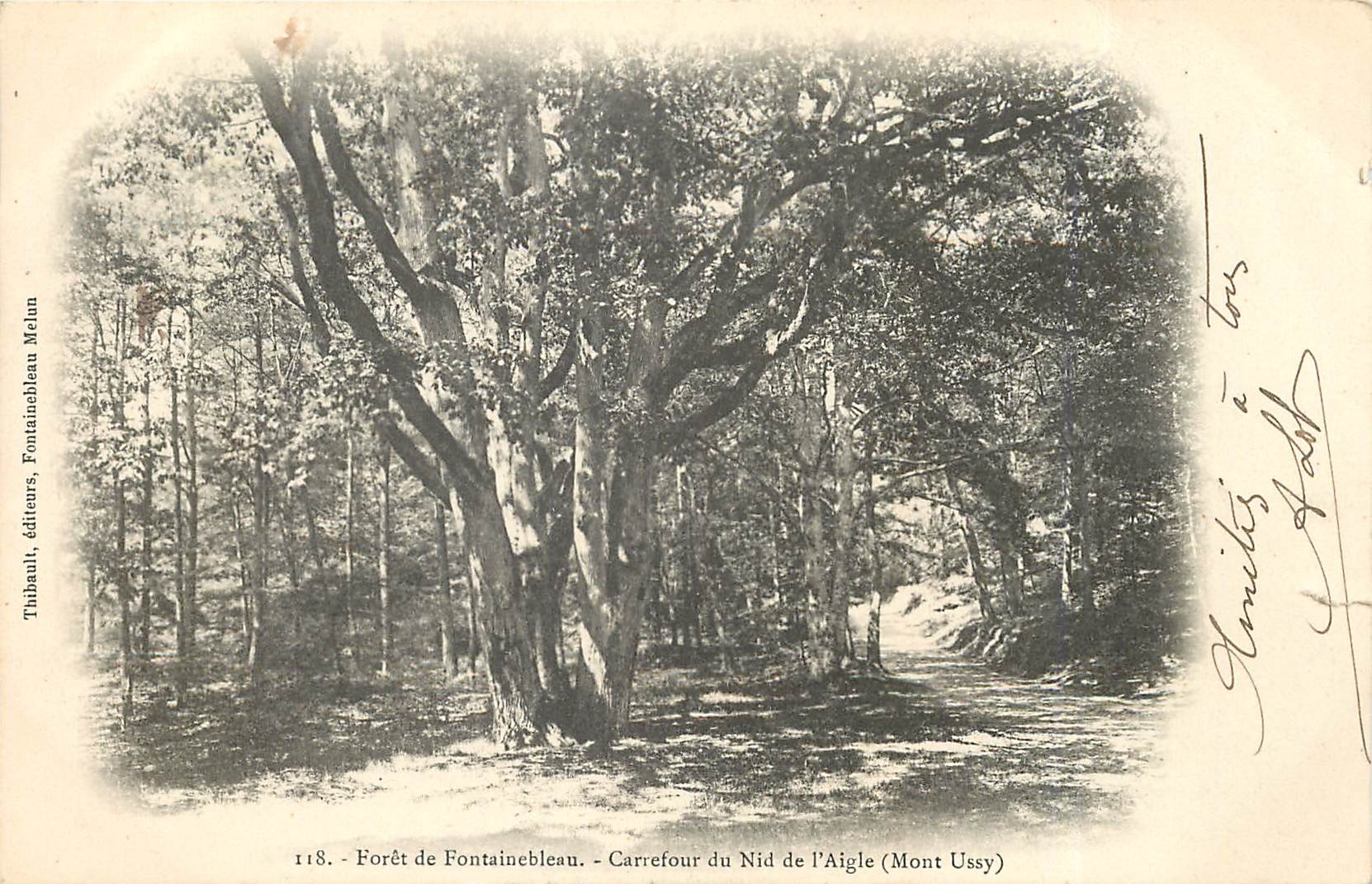 Foresta di Fontainebleau — Incrocio del Nid de l'Aigle (Mont Ussy) — Tibhauli, editori, Fontainebleau Melun
