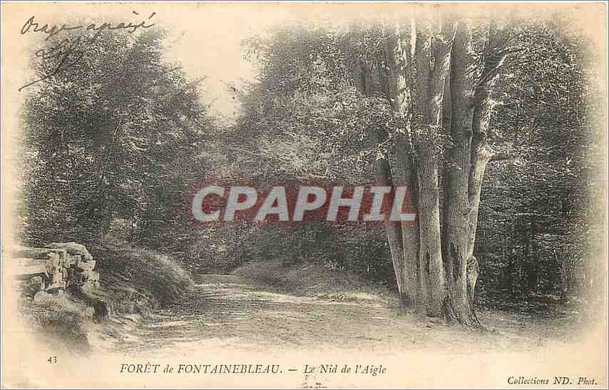 Forêt de Fontainebleau — Le Nid de l'Aigle — Collections ND. Phot.