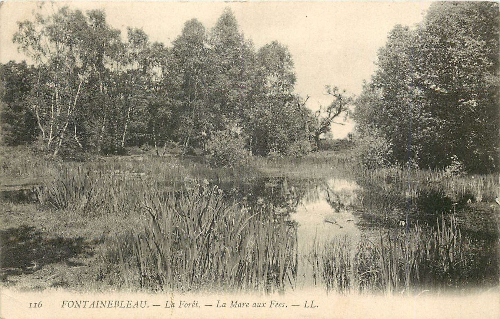 Fontainebleau — Die Forêt — Das Fées-See — LL. — Nr. 116
