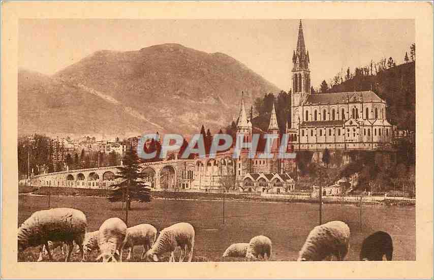 CPA Lourdes La Basilique 