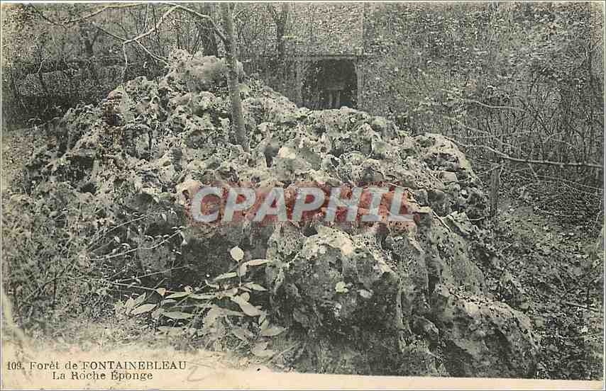 Die Schwammfelsen — Wald von Fontainebleau — CPAPHIL n°109