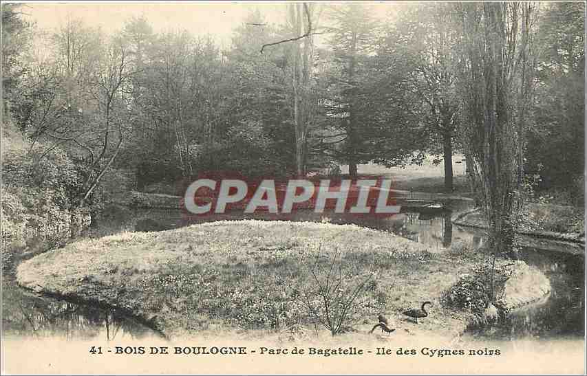 CPA Bois de Boulogne Parc de Bagatelle Ile des Cygnes noirs 