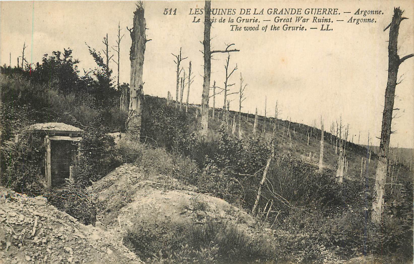 CPA Les Ruines de la Grande Guerre Argonne 