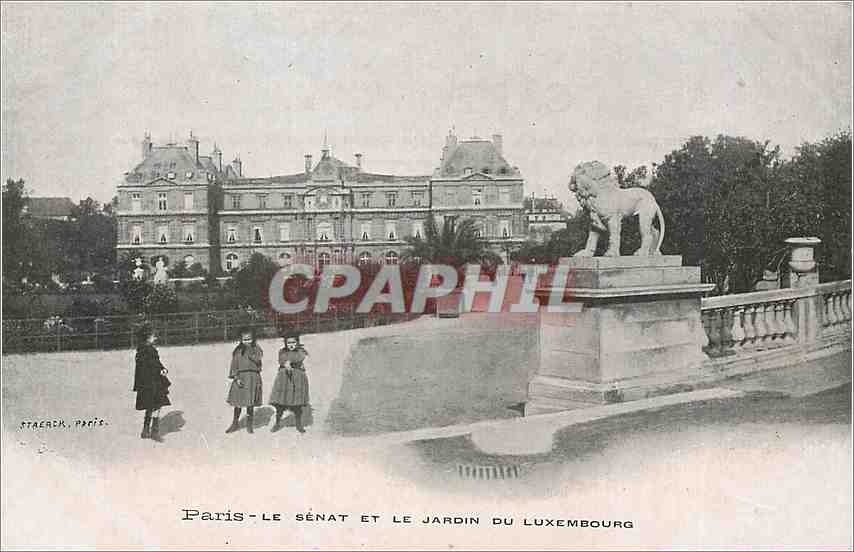 CPA Paris Le Senat et le Jardin du Luxembourg 