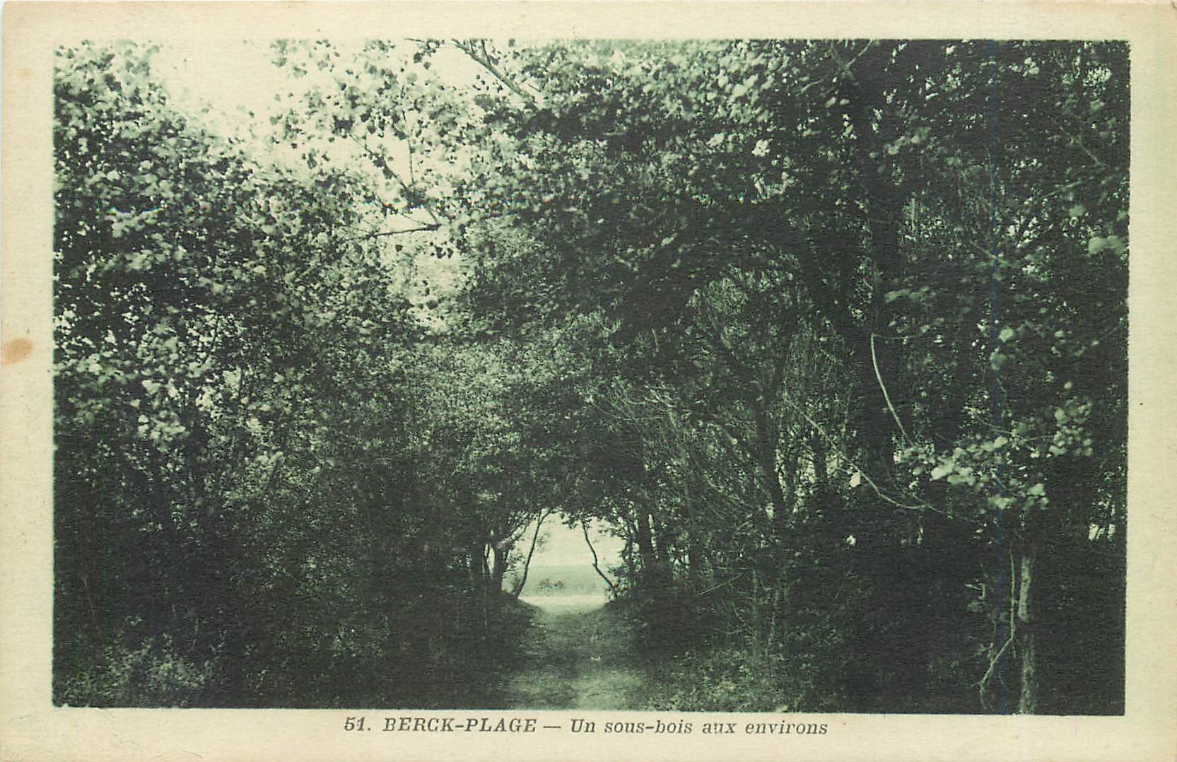 CPA Berck Plage Un sous bois aux environs 