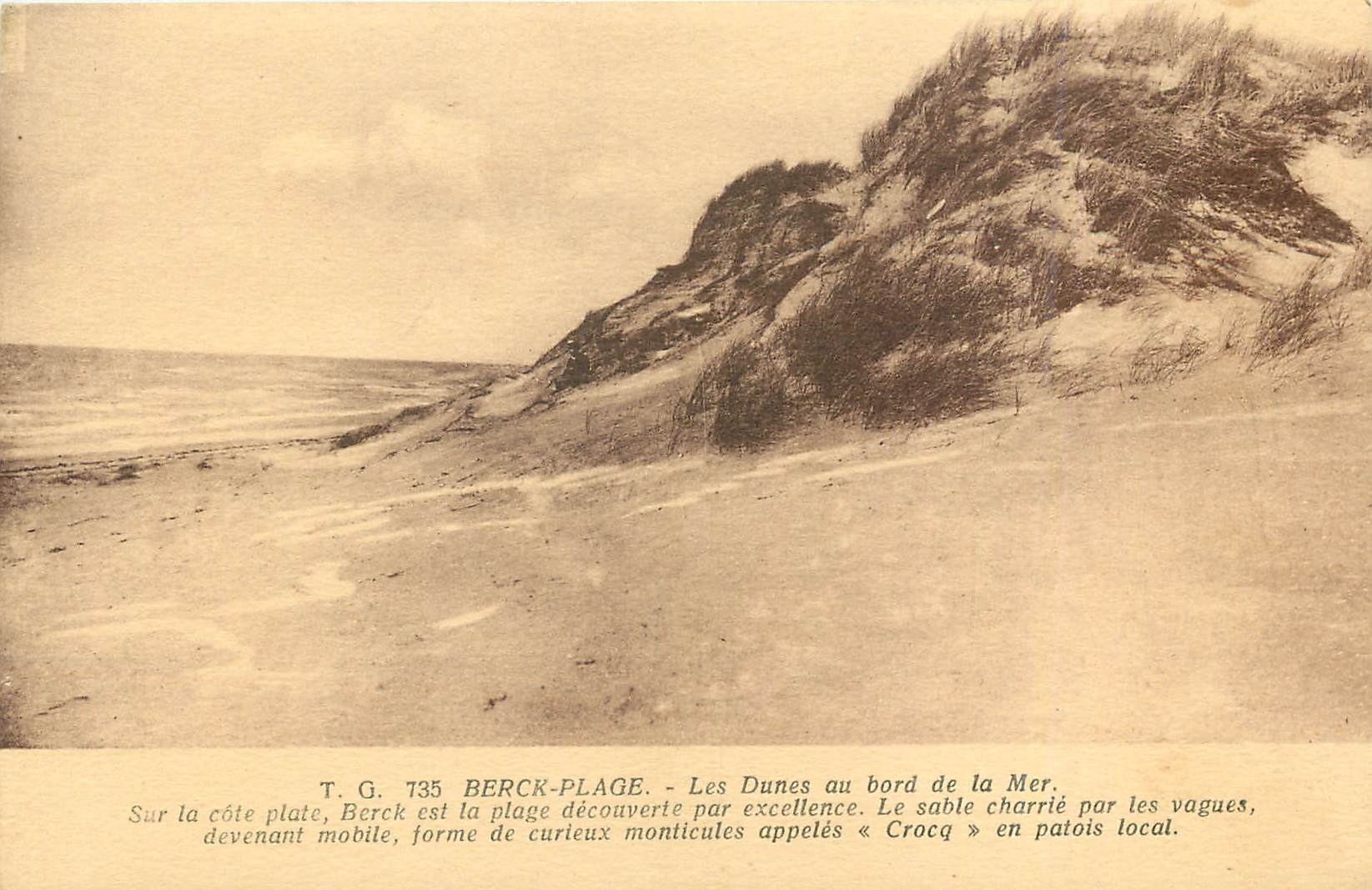 CPA Berck Plage Les Dunes au bord de la Mer 