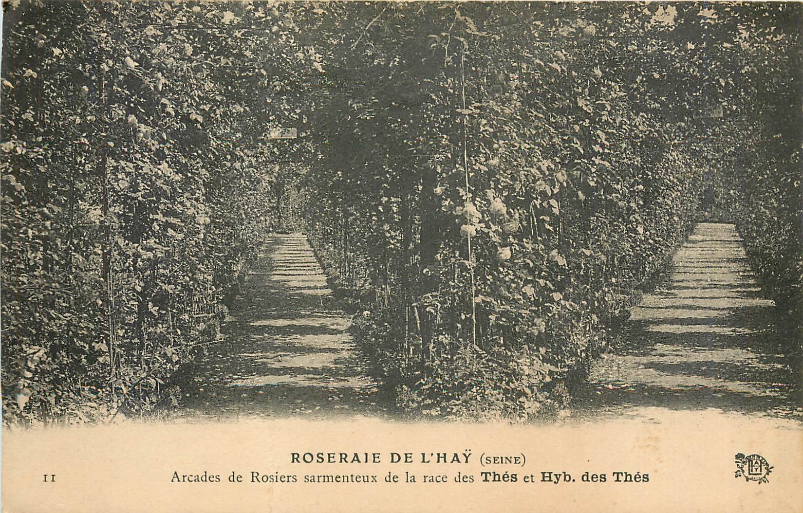 CPA Roseraie de l'Hay Seine Arcades de Rosiers sarmenteux de la race des Thes et Hyb des Thes 