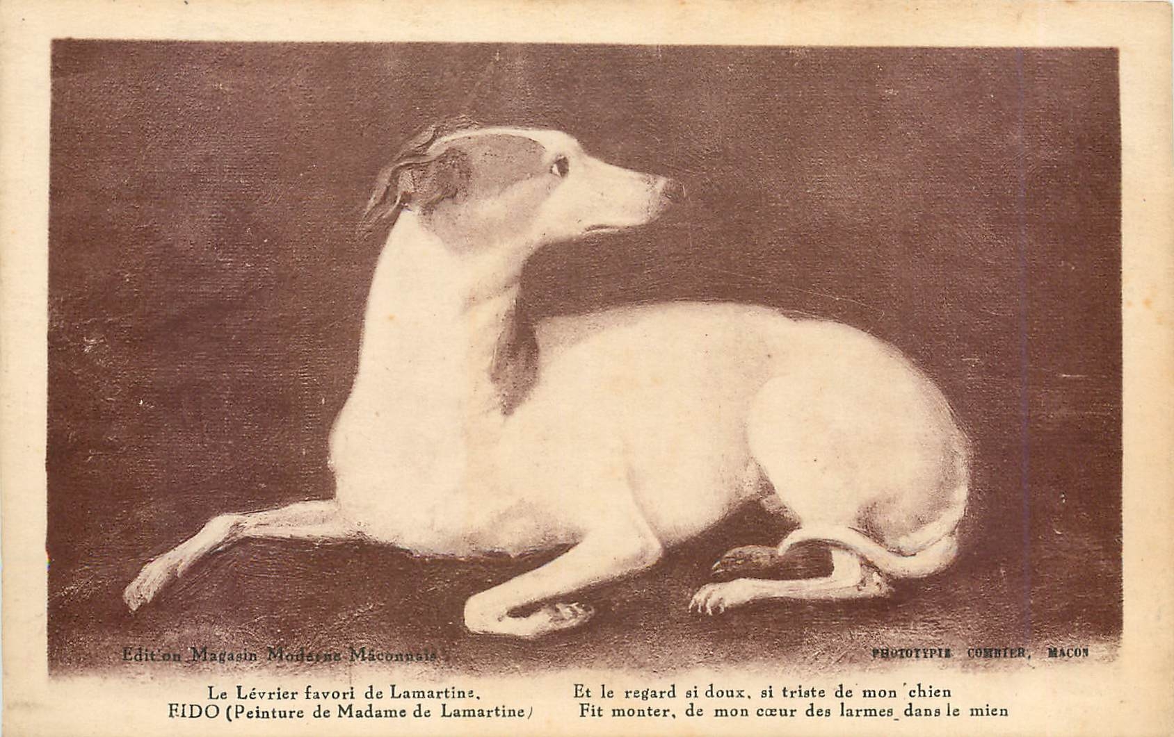 CPA Le Levrier favori de Lamartins et le regard si doux si triste de mon chien Fido Peinture de Mada