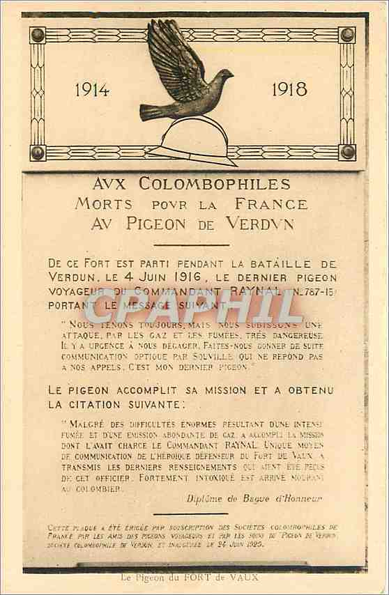 CPA Aux Colombophiles Morts Pour La France Au Pigeon de Verdun Colombe Militaria