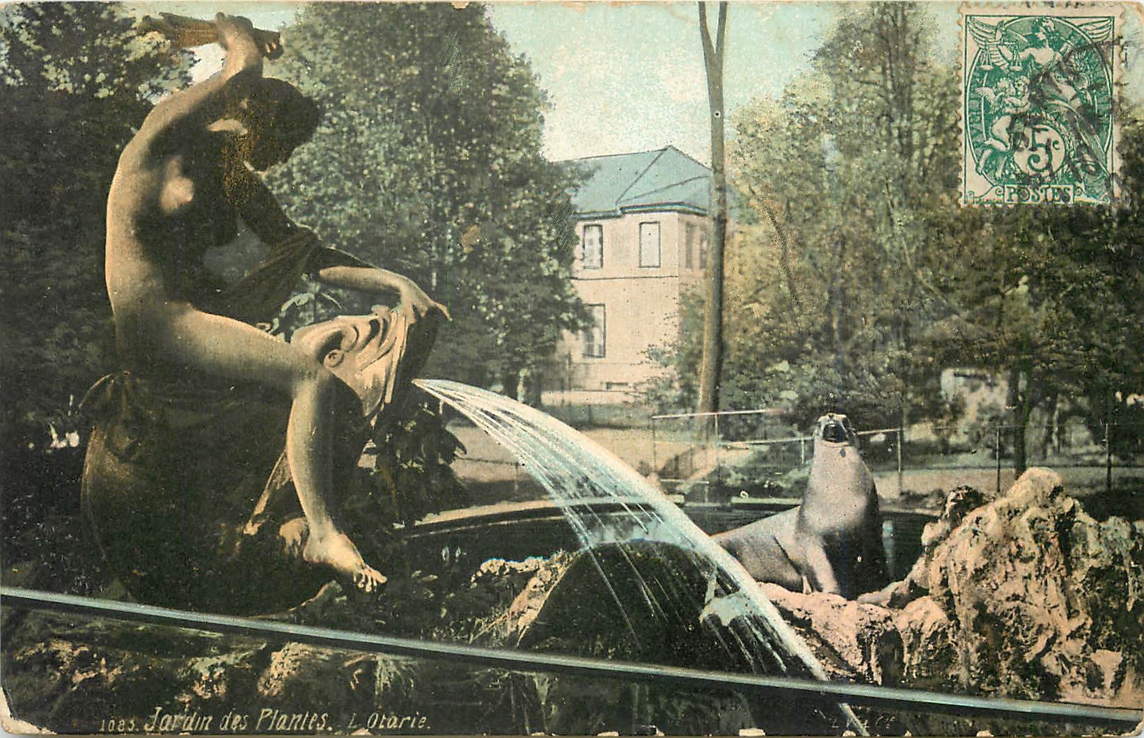 CPA Jardin des Plantes L'Otarie Paris