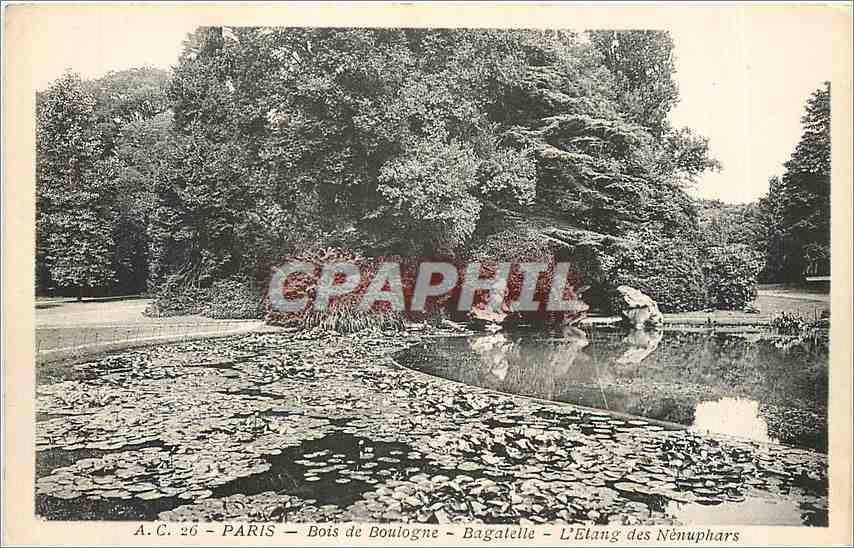 CPA Paris Bois de Boulogne Bagatelle L'Etang des Nenuphars 