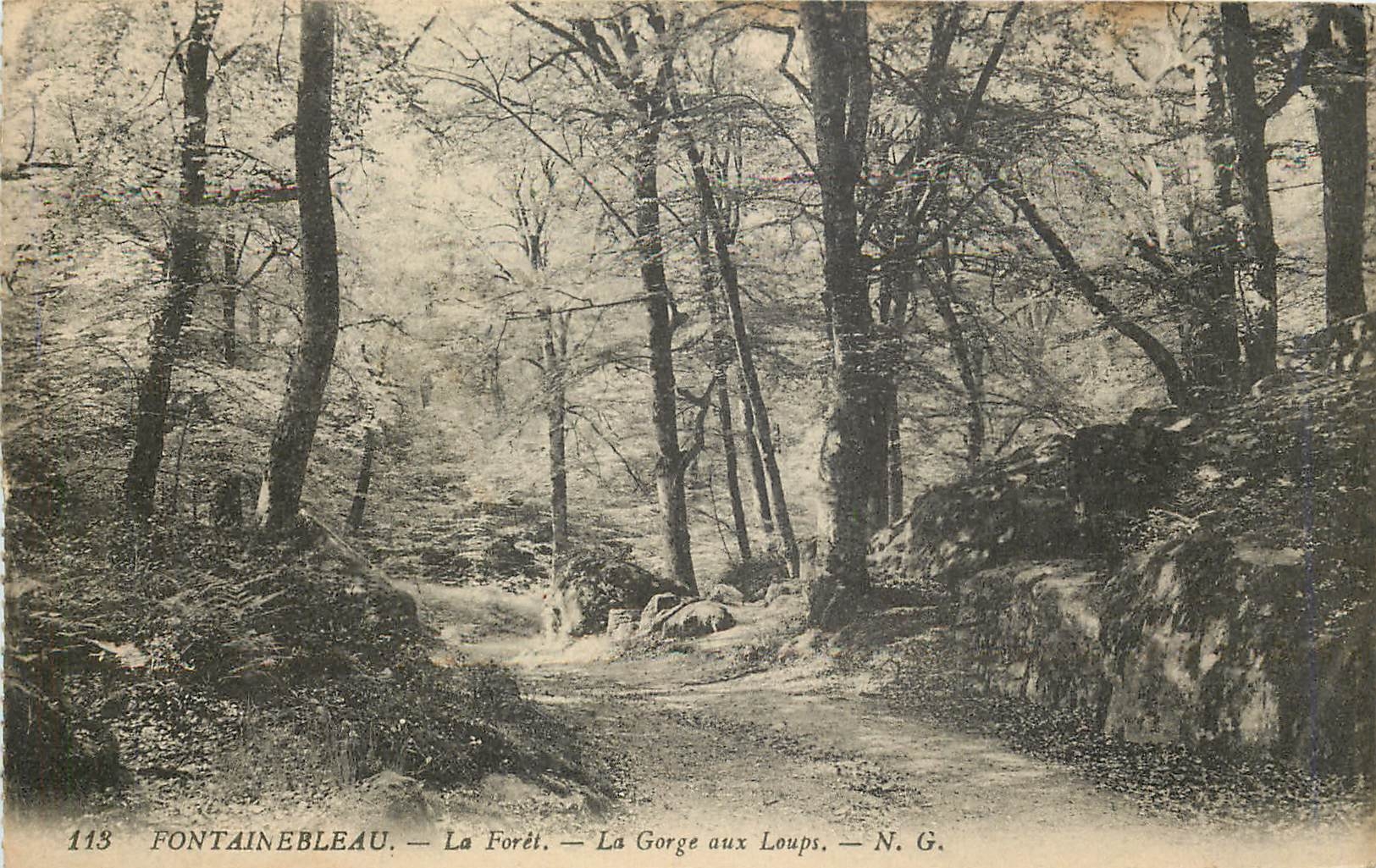 CPA Fontainebleau La Foret La Gorge aux Loups 