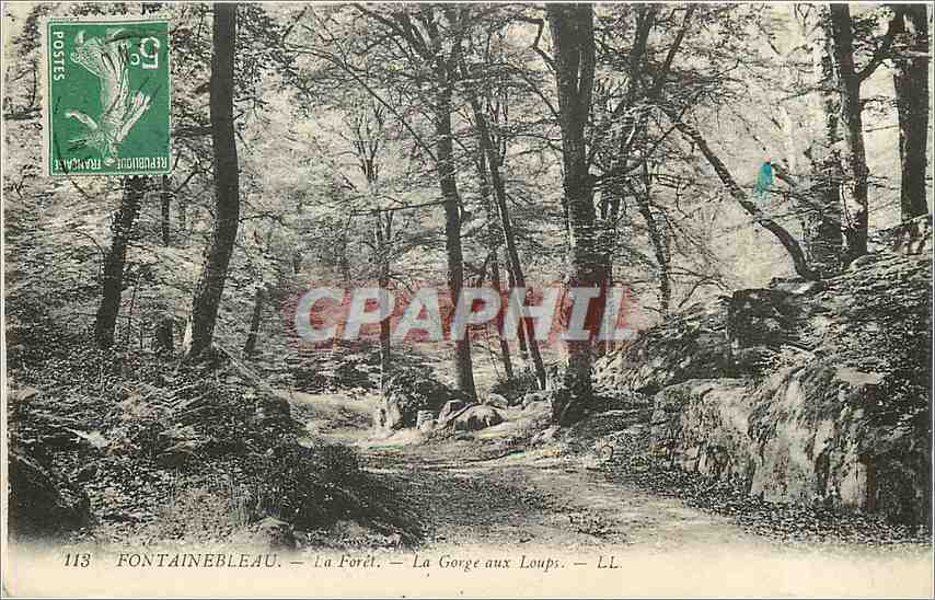 Fontainebleau — Die Forêt — Die Gorge aux Loups — LL. — Nr. 113