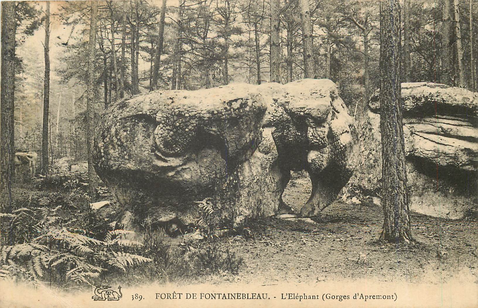 Forêt de Fontainebleau - L'Éléphant (Gorges d'Apremont) — n° 389 — éditeur non identifié