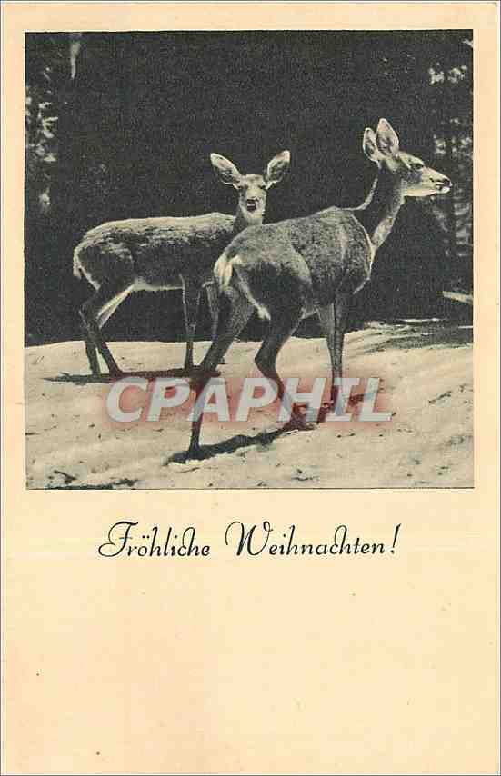 CPA Frohliche Weihnachten Biches