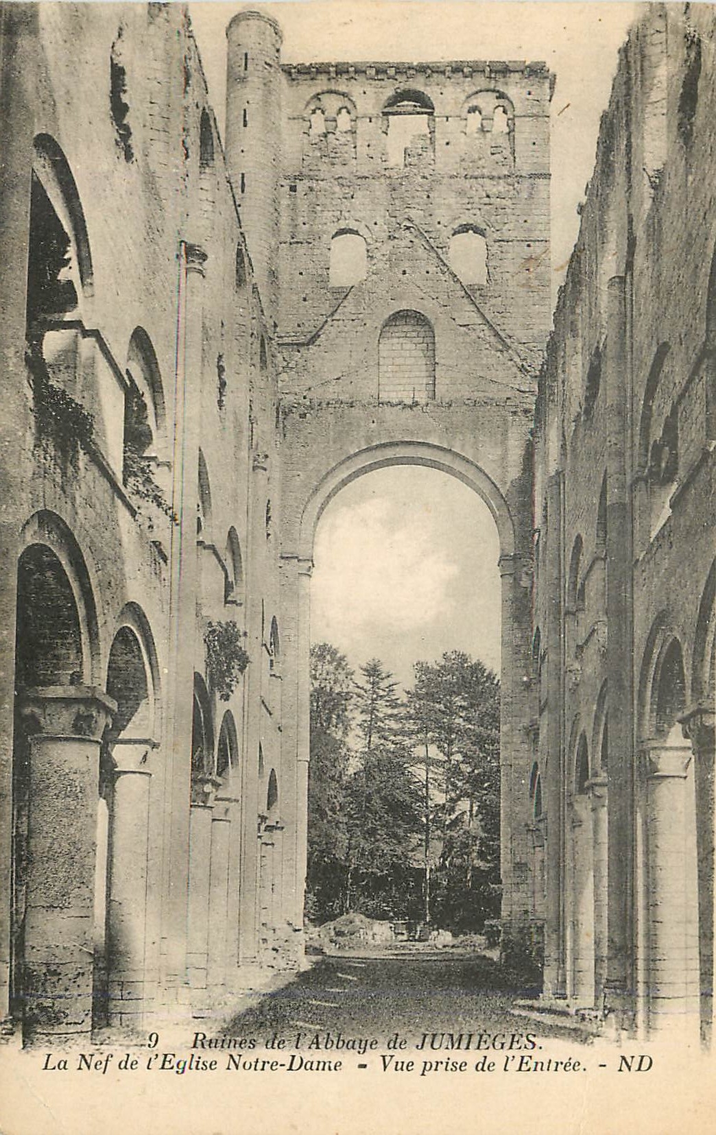 CPA Ruines de l'Abbaye de Jumieges La Nef de l'Eglise Notre Dame Vue prise de l'Entree 