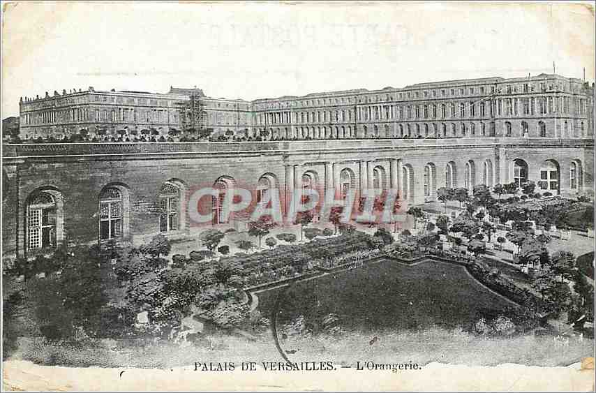 CPA Palais de Versailles L'Orangerie 