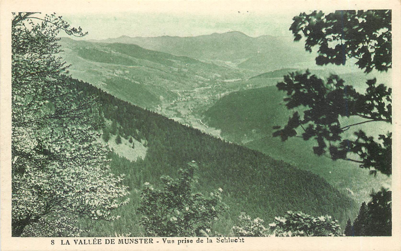 CPA La Vallee de Munster Vue prise de la Schlucht 