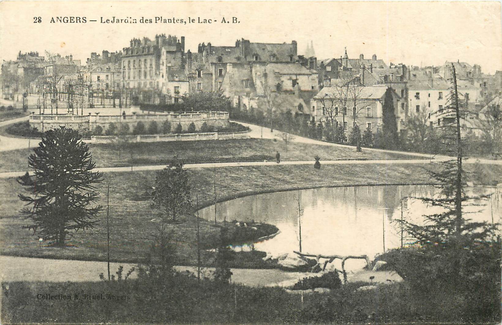 CPA Angers Le Jardin des Plantes le lac 