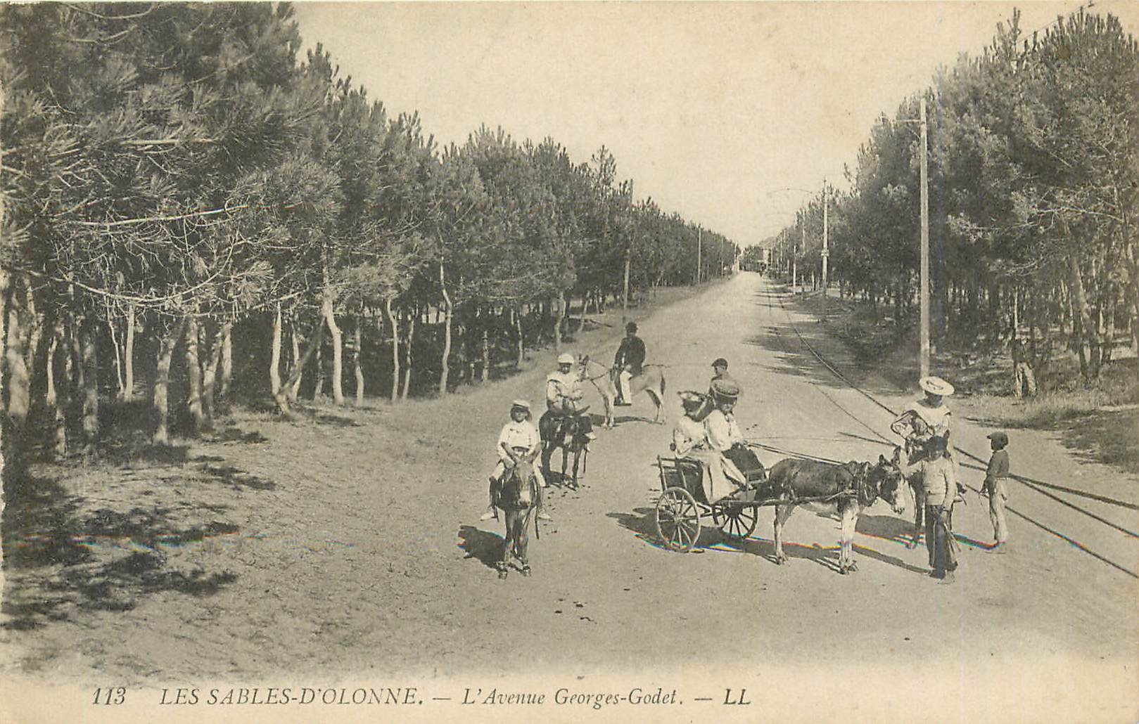 CPA Les Sables d'Olonne L'Avenue Georges Godet Ane Mule