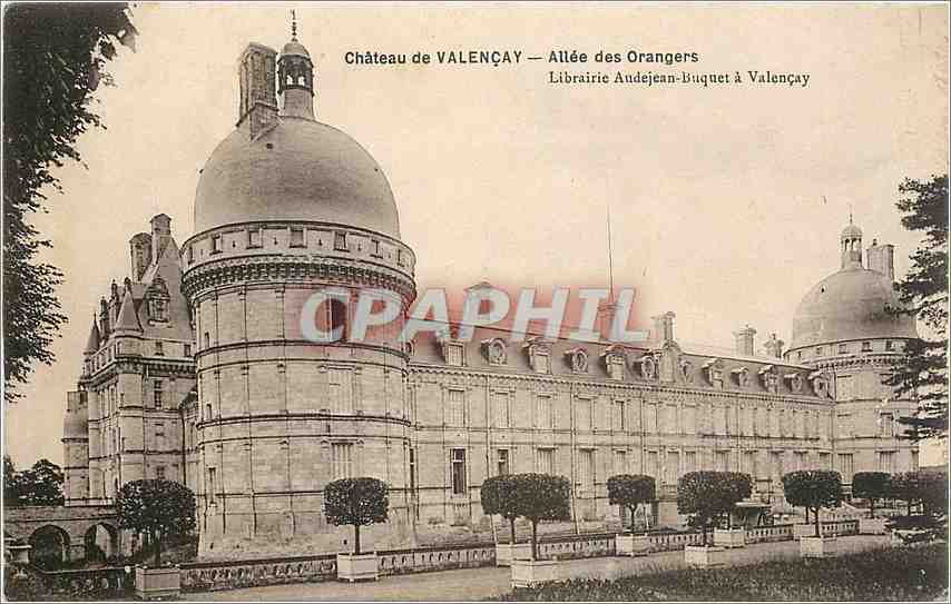 CPA Chateau de Valencay Allee des Orangers 