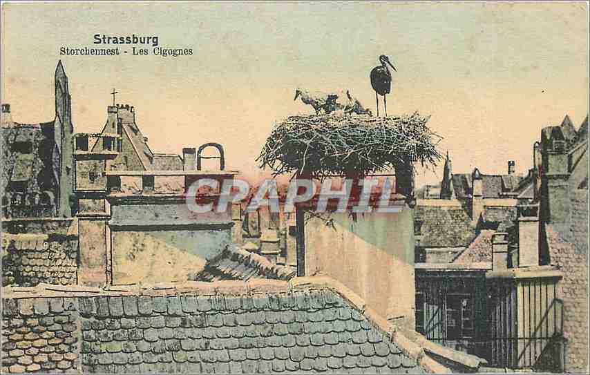 Strassburg - Les Cigognes — édition W. S. S. Str. 14