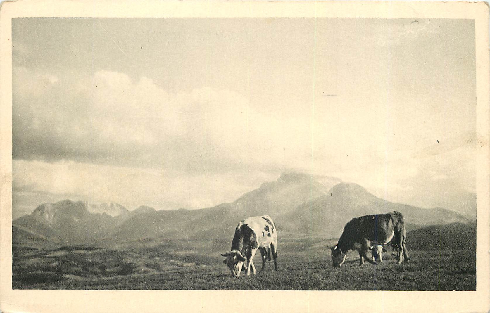 CPA La Mure L'Obiou Soir Vaches