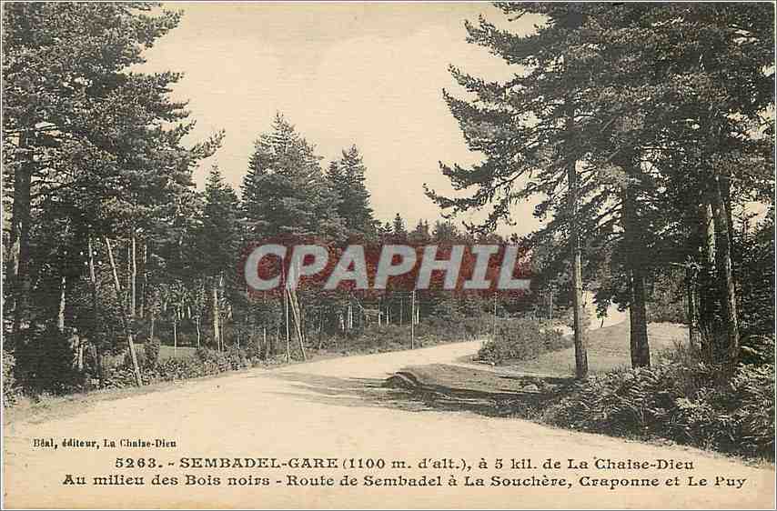 CPA Sembadel Gare de La Chaise Dieu Au milieu des Bois noirs 